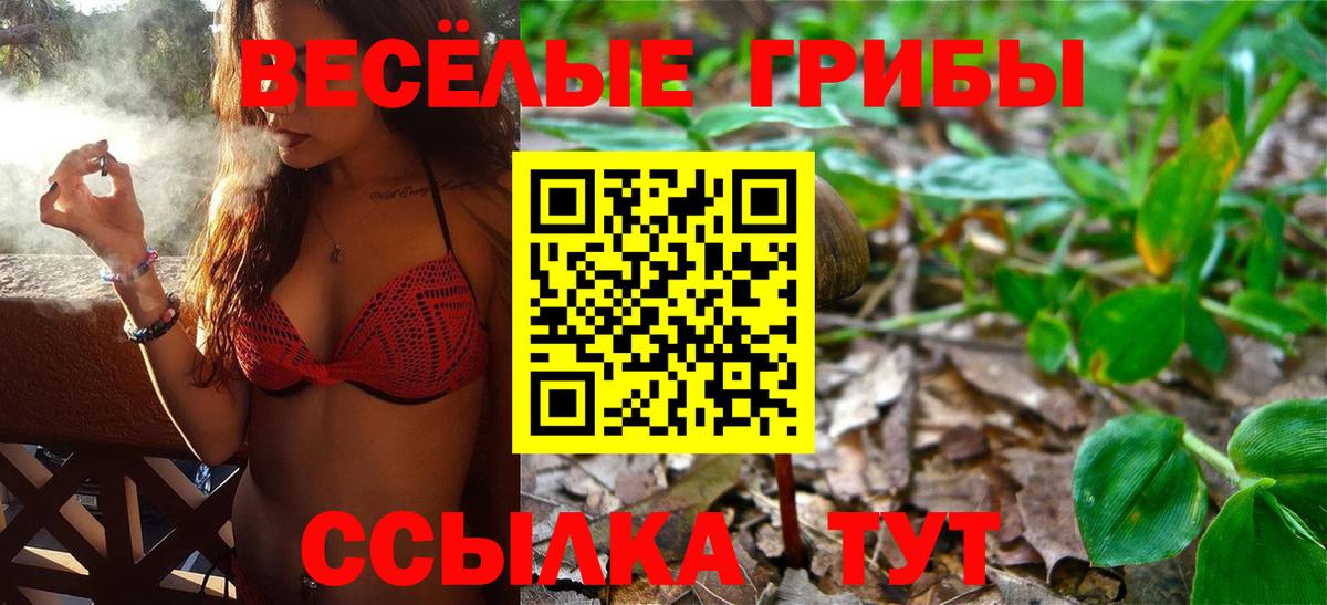 Северобайкальск  купить   Вход с VPN  Галлюциногенные грибы Cubensis 